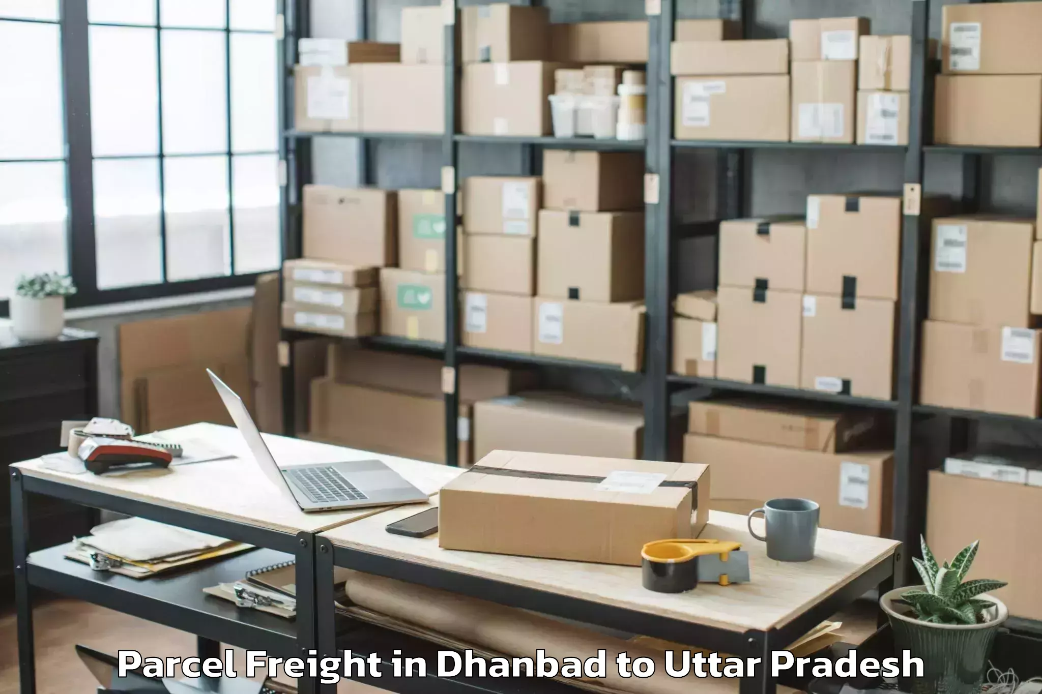 Book Dhanbad to Narauli Parcel Freight Online